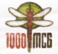 Bromo Dragonfly